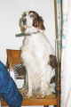 Rosein's Party Piece - 2002